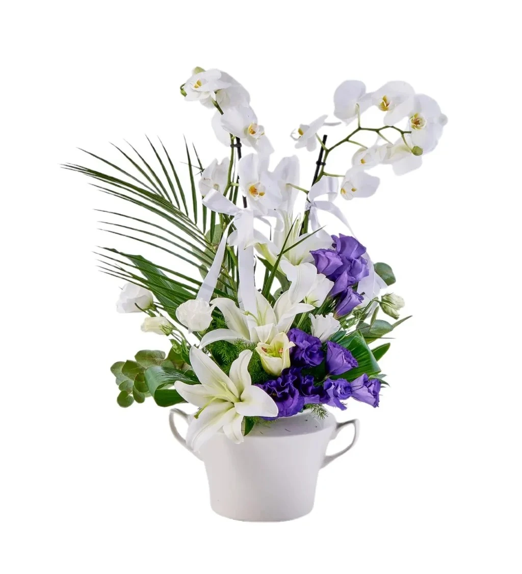 Premium Elegant Orkide Aranjmanı